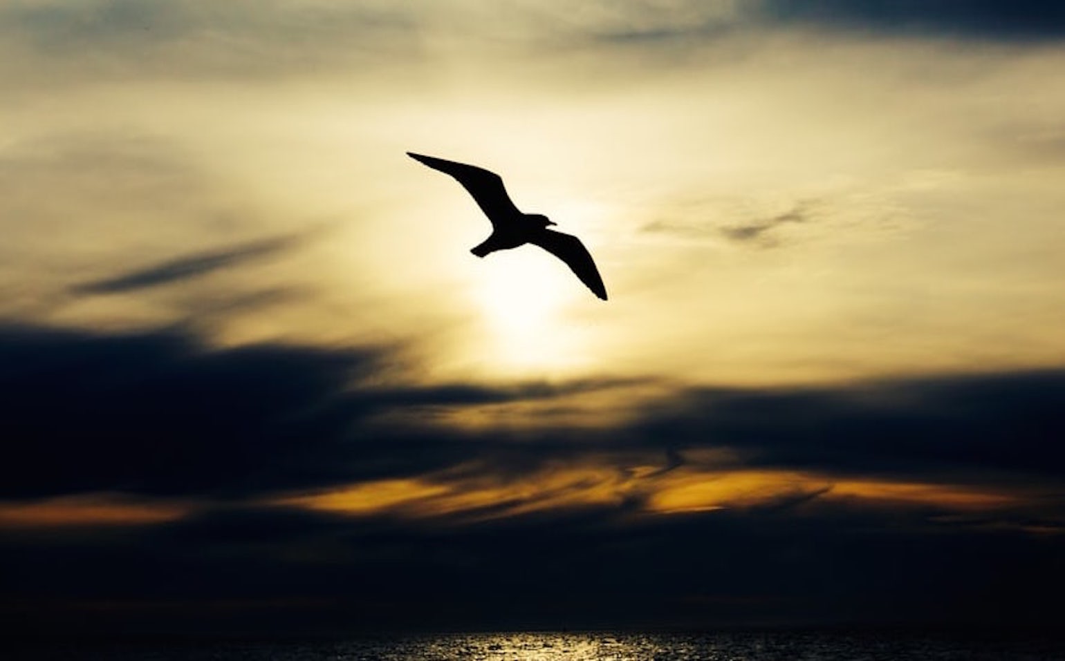 Nueva etapa Esperanzas