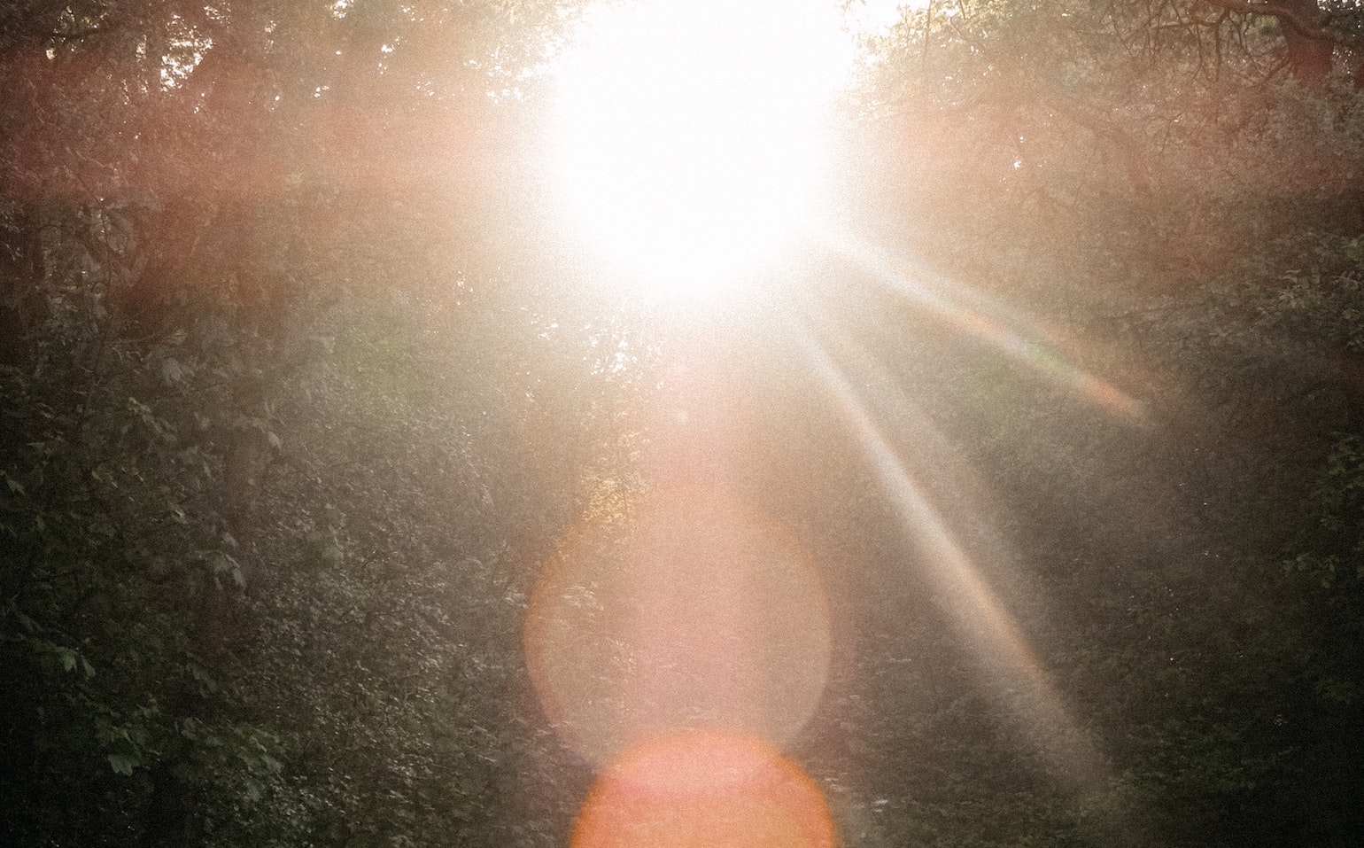 La prudencia en la res publica